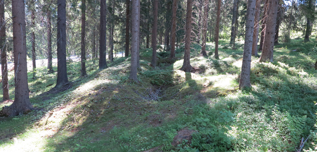 Kuva: Toivola Hanhimäen ensimmäisen maailmansodan ylempi juoksuhautakaivanto sijaitsee jyrkemmässä rinteessä. Teemu Mökkönen 20.6.2019
