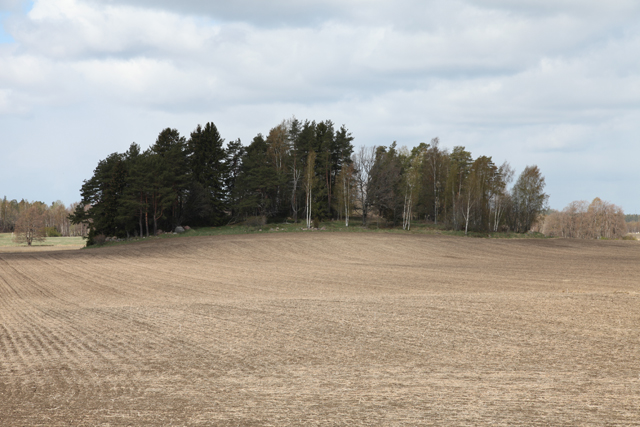 Kuva: Yleiskuva idästä. Veli-Pekka Suhonen 2.5.2019