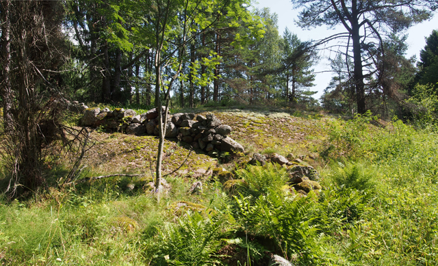 Kuva: Kuorsalon vanhan kylän alueella, ja sen reunamilla, on runsaasti kiviaitoja. Teemu Mökkönen 14.7.2019
