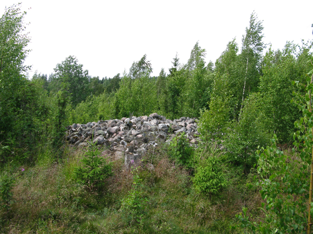 Kuva: Snickars Åkerbacke, Suurempi röykkiö on nuorten puiden ja taimien ympäröimä, mutta itse röykkiön päällä ei ole mainittavaa kasvustoa. Andreas Artto 16.7.2019
