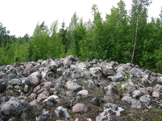 Kuva: Snickars Åkerbacke, Suurempi röykkiö on nuorten puiden ja taimien ympäröimä, mutta itse röykkiön päällä ei ole mainittavaa kasvustoa. Andreas Artto 16.7.2019