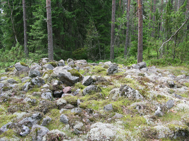 Kuva: Stenskyberget röykkiöalue, Kuvassa röykkiö 1, joka arkistotietojen mukaan on tutkittu vuonna 1916 Thomas Ermala 16.7.2019