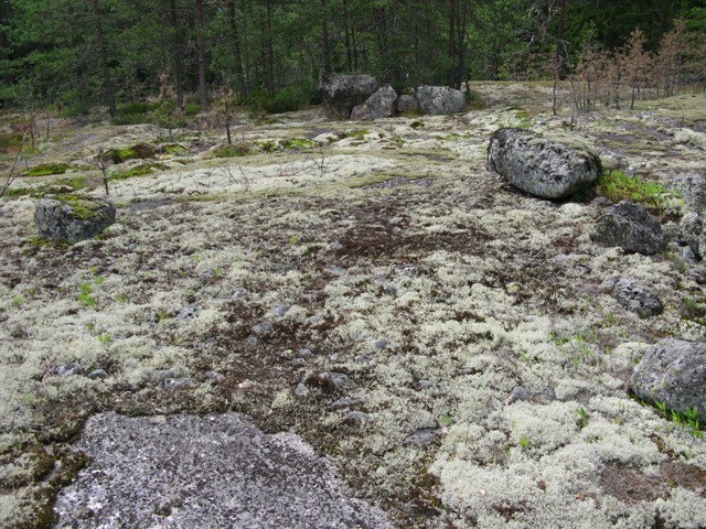Stenskybergetin röykkiö 4, Pieni, mahdollisesti hajotettu röykkiö on halkaisijaltaan n. 3 m ja korkeudeltaan 20-50 cm. Röykkiössä on vain yksi kivikerros ja sen pohjalla pilkottaa pieniä, nyrkinkokoisia kiviä. Röykkiön reunoilla on muutamia suurempia kiviä. Thomas Ermala 16.7.2019