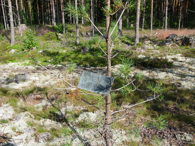 Kuva: Alueen muinaisjäännöskylltti nostettuna nuoreen puuhun. Thomas Ermala 16.7.2019