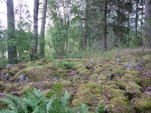 Muinaisjäännösalueella on myös kaksi yhdistynyttä kivilatomusta Thomas Ermala 17.7.2019