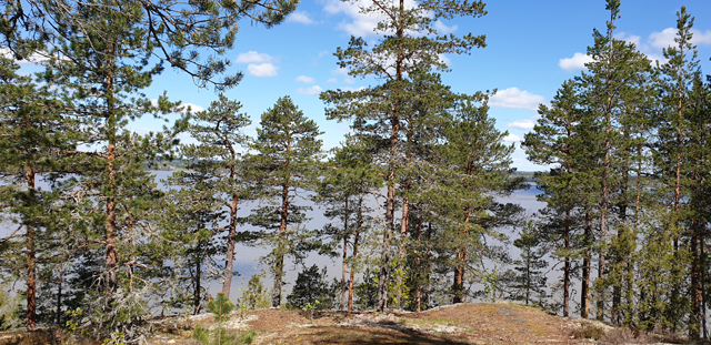 Kuva: Näkymä Struvenketjunpisteeltä Pyhäjärvelle Teija Tiitinen 13.5.2019