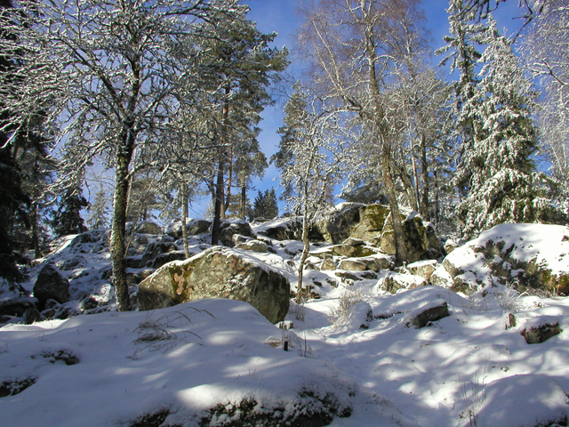 Kuva: Linnavuoren vallia, kuvattuna etelästä talvella 2001 Satu Mikkonen-Hirvonen 2001
