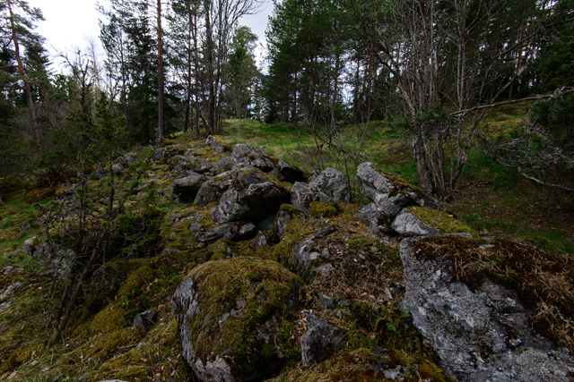 Kuva: Kiviä Rikalan Linnamäellä. Muinaislinnan lähettyvillä sijaitsee myös Rikalanmäen moniperiodinen muinaisjäännösryhmä. Vesa Laulumaa 2015