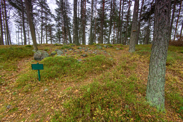 Kuva: Koskenhaan rautakautista muinaisjäännösaluetta Vesa Laulumaa 2014