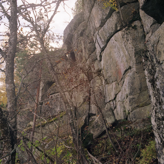 Kuva: Hirvensalmen Hahlavuoren kalliomaalaus, näkymä kohti maalauskalliota Ismo Luukkonen 2004