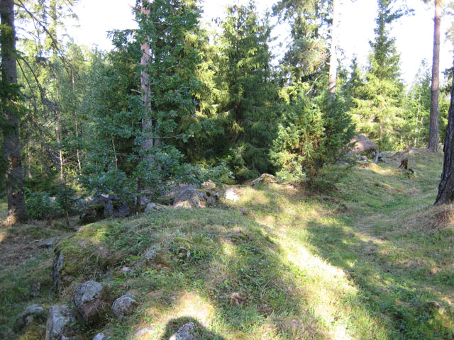Kuva: Kauttuan linnavuoren valleja niiton jälkeen Leena Koivisto 20.8.2007