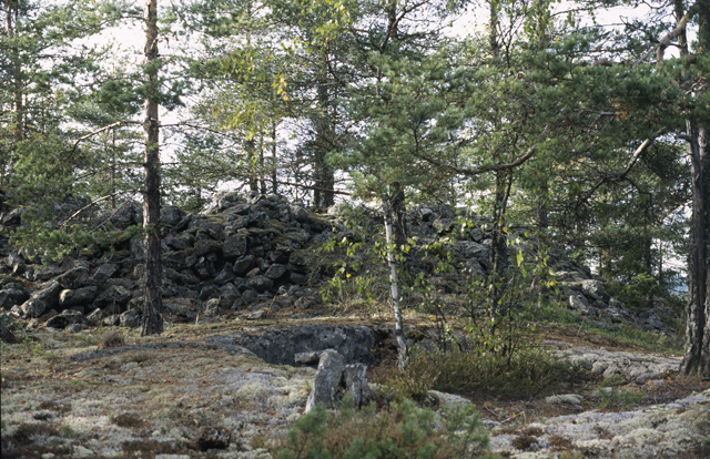 Kuva: tampaltankruunun hiidenkiuas Henrik Asplund 1994