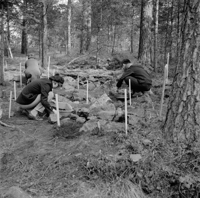 Kuva: Koealueen kiveystä Niinstln tontilla, kuvattu kaakosta. Pirkko-Liisa Lehtosalo-Hilander 1970