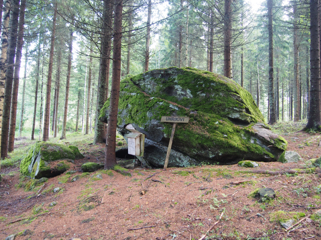 Kuva: Kokkosenmäen kuppikivi sijaitsee viljelyalueen reunalla metsäisessä rinteessä. Teemu Mökkönen 12.8.2019