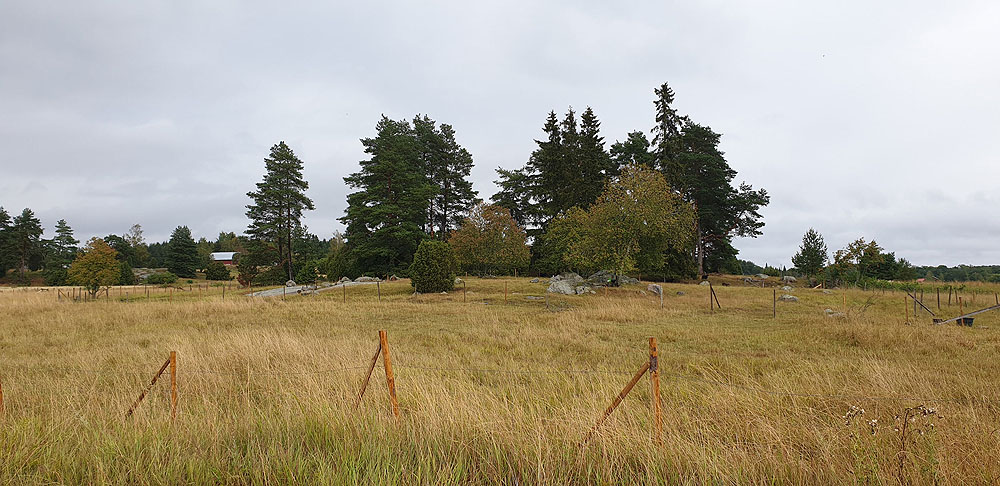 Kuva: Määksmäen peltojen keskellä olevaa eteläistä osa-aluetta lounaasta. Teija Tiitinen 12.8.2019