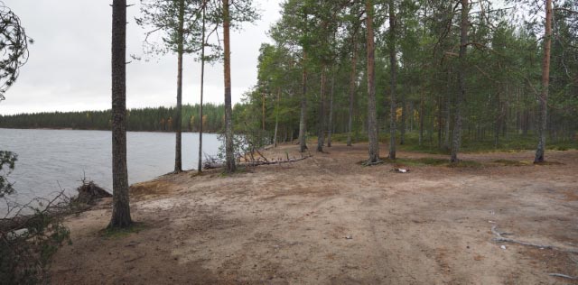 Kuva: Koppeloniemen kaivauksin tutkittua asuinpaikka-aluetta sortuvan rantatörmän kohdalla. Teemu Mökkönen 1.10.2019