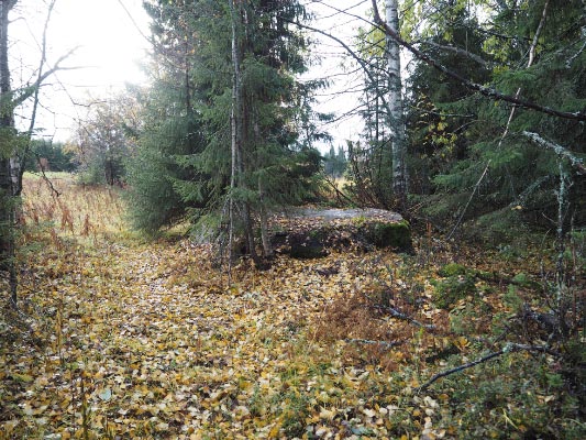 Kuva: Puolanka Hulminvaara. Kuppikivi sijaitsee pellon reunalla. Teemu Mökkönen 2.10.2019