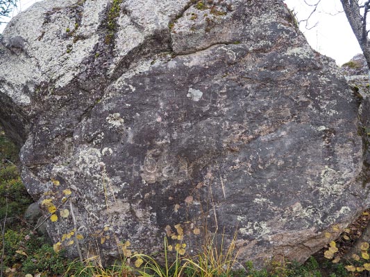 Kuva: Osa Maanselän kiven länsikyljen hakkauksista erottuu selvästi, kuten keskellä näkyvät kolmen kruunua ja vuosiluku 1684. Teemu Mökkönen 3.10.2019