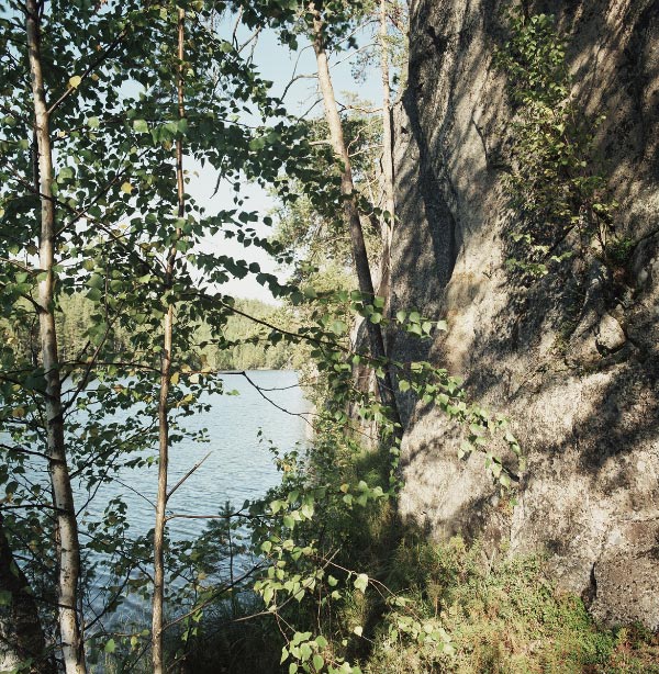 Kuva: Juvan Sarkasvuoren kalliomaalaus, näkymä kohti maalauskalliota, yleiskuva Ismo Luukkonen 2003
