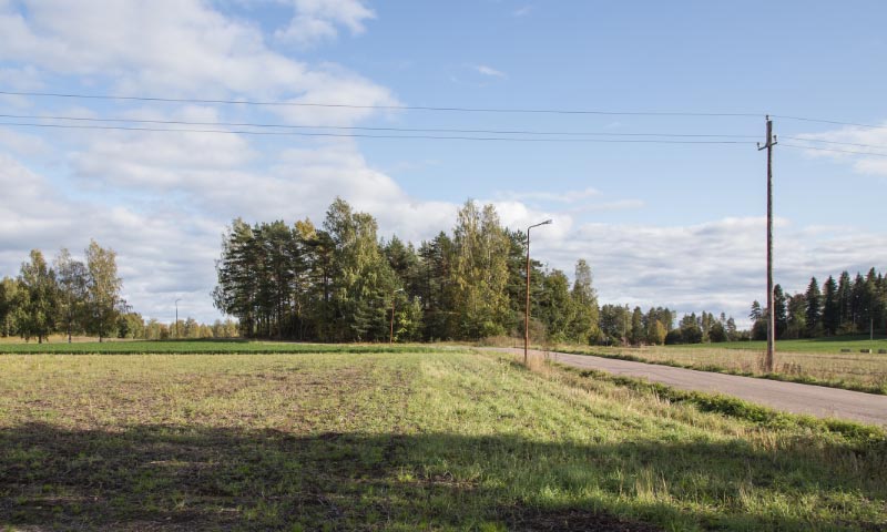 Kuva: Moisionpellon asuinpaikka, taustalla Latokallion kalmisto, kuvattu luoteesta Helena Ranta 24.9.2019