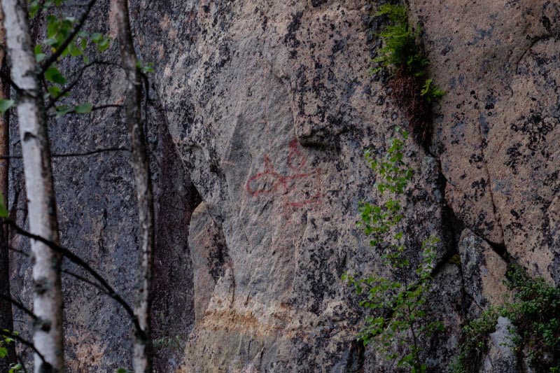 Kuva: Juva. Sarkasvuoren kalliomaalauksen hirvi. Vesa Laulumaa 24.10.2017