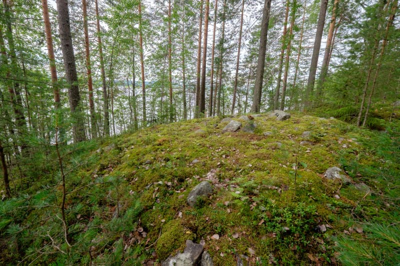 Kuva: Kuopio, Kuusikkolahdenniemi. Läntisin lapinraunio niemen kärjessä on tutkittu kaivauksin 1970-luvulla. Vesa Laulumaa 30.7.2015