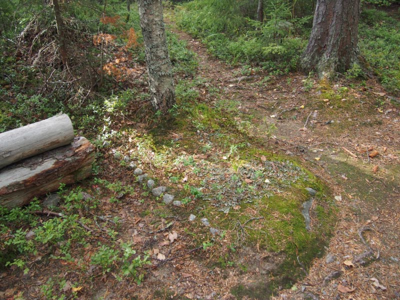 Kuva: Ölllöä Pörtsämö. Osassa haudoista hautakumpu on reunustettu tai päällystetty pienillä luonnonkivillä. Teemu Mökkönen 27.8.2019