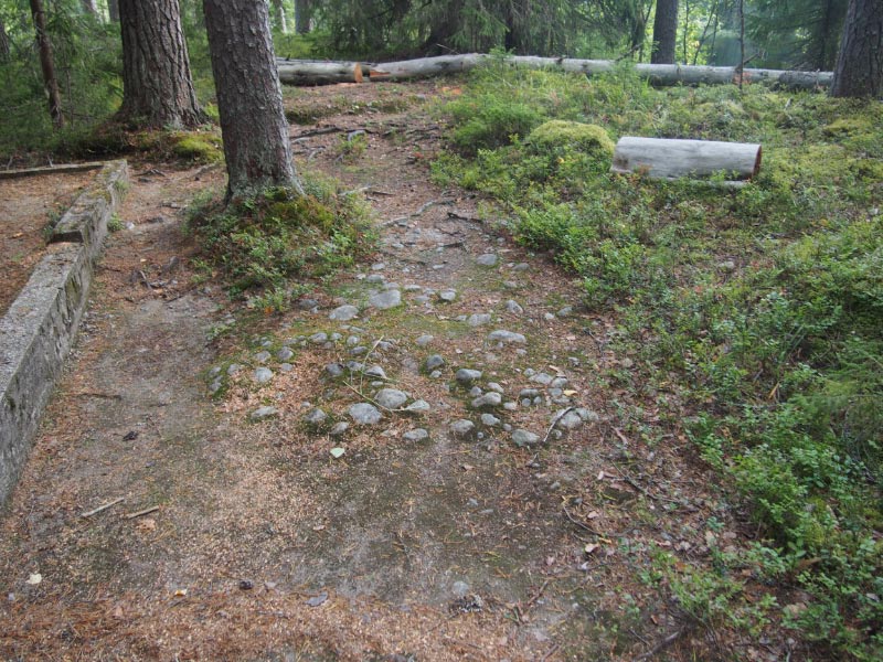 Ölllöä Pörtsämö. Todennäköinen vanhan hautauksen kivetty hautakumpu on paljastunut nykyisen polun paikalta. Teemu Mökkönen 27.8.2019