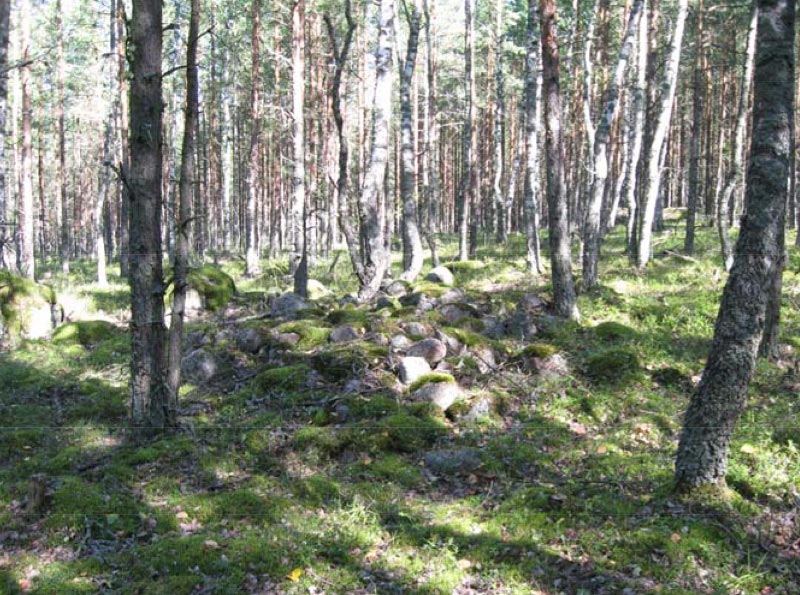 Kuva: Lehmäsaari 1. Etelästä. Katja Vuoristo 8.8.2007
