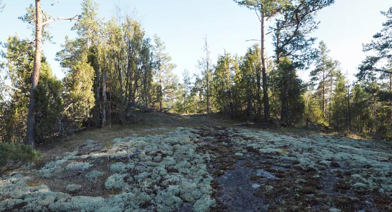 Kuva: Pyhtää, Hirvikosken linnoitukset 5. 1700-luvun linnoitteen maavallia kallion laella kuvattuna kohti etelää. Teemu Mökkönen 10.5.2020