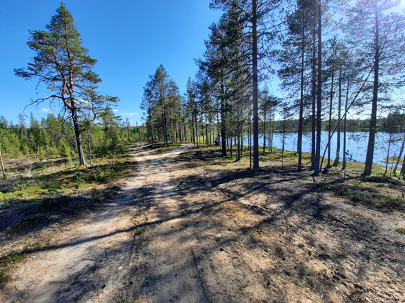 Kuva: Joutsenlammen asuinpaikkaa lounaaseen kuvattuna. Lapin maakuntamuseo CC BY 4.0. Jari-Matti Kuusela 16.6.2020