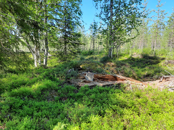 Kuva: Raunio 2 kuvattu luoteeseen. Lapin maakuntamuseo CC BY 4.0. Jari-Matti Kuusela 17.6.2020