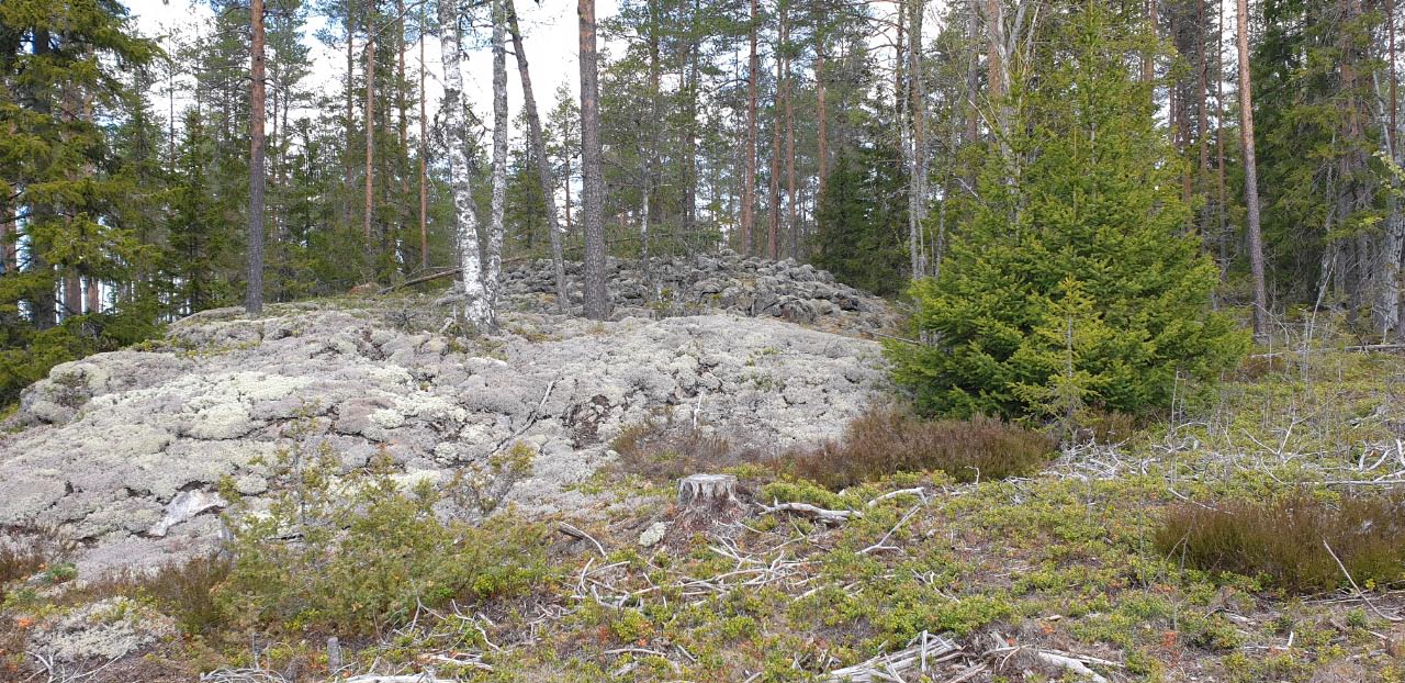 Kuva: Lappfjärd-Åbackberget 3:n hautaröykkiöt Teija Tiitinen 25.5.2020
