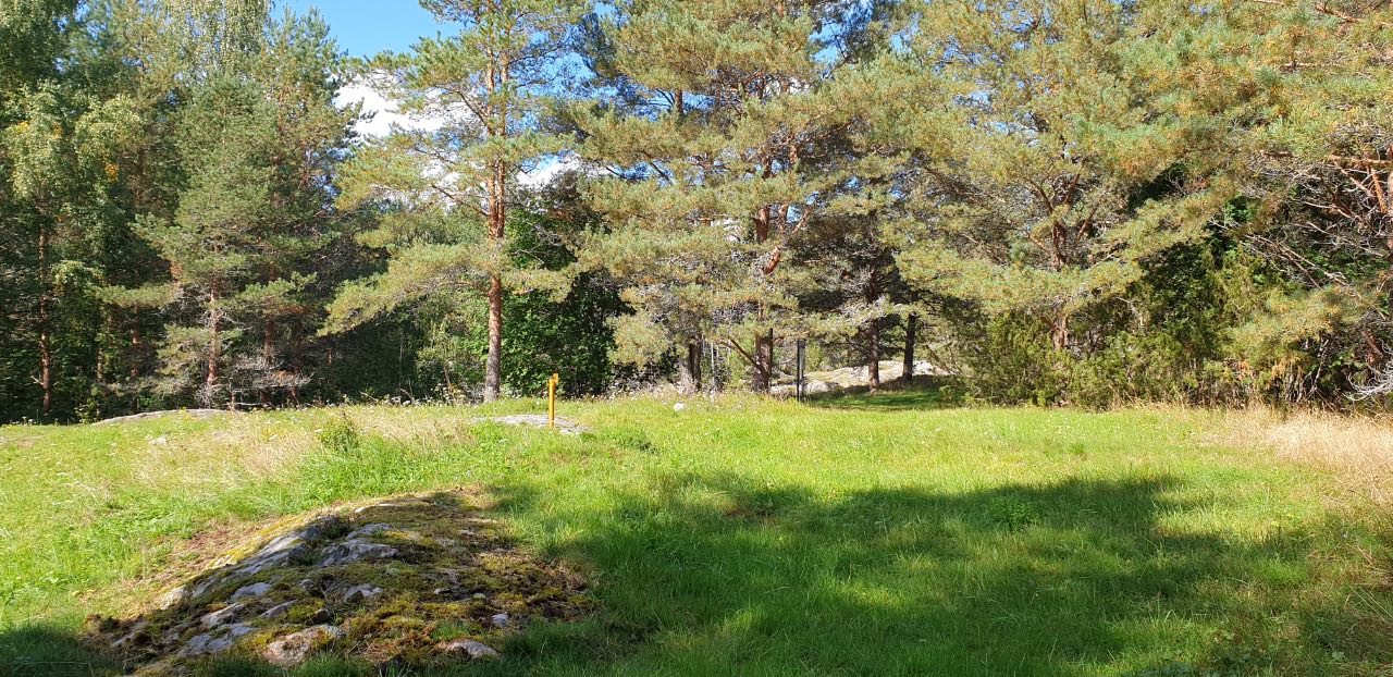 Spurilan rautakautinen polttokalmistoalue, kivikautinen asuinpaikka Teija Tiitinen 1.9.2020