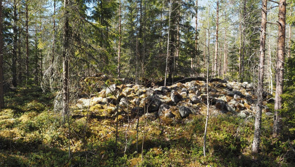 Kuva: Kalajoki Hangasräme Jättiläiskangas. Keskuskuopallinen röykkiö (röykkiö 2). Kuvattuna kohti länttä. Teemu Mökkönen 28.5.2020
