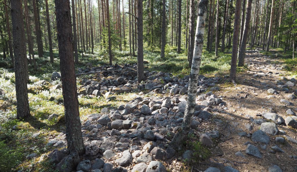 Kuva: Oulu Tahkokangas. Matalia röykkiöitä ja latomuksia kankaan kivisellä lakialueella.  Kuvassa toisiinsa yhdistyvät latomukset 7 (edessä), 8, 9 ja 10.  Kuvattuna kohti luodetta. Teemu Mökkönen 2.6.2020