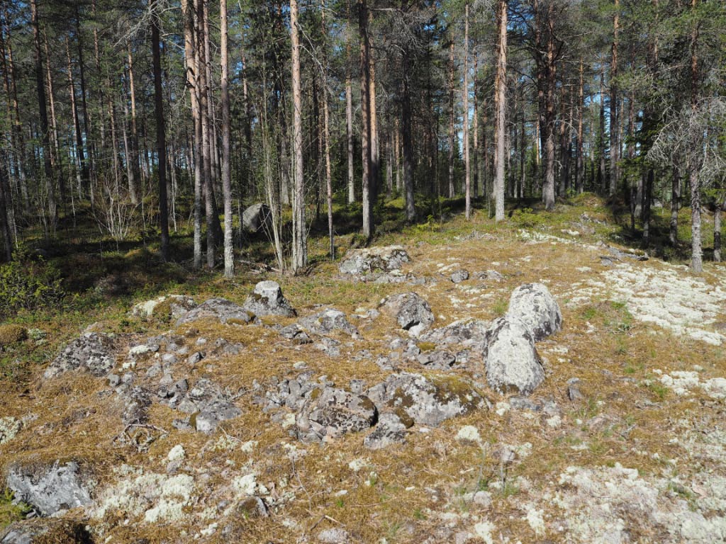 Kuva: Raahe, Tervakangas. Balkintien varren kalmistoalueen röykkiöt 3 ja 4. Kuvattuna kohti länsiluodetta. Teemu Mökkönen 1.6.2020