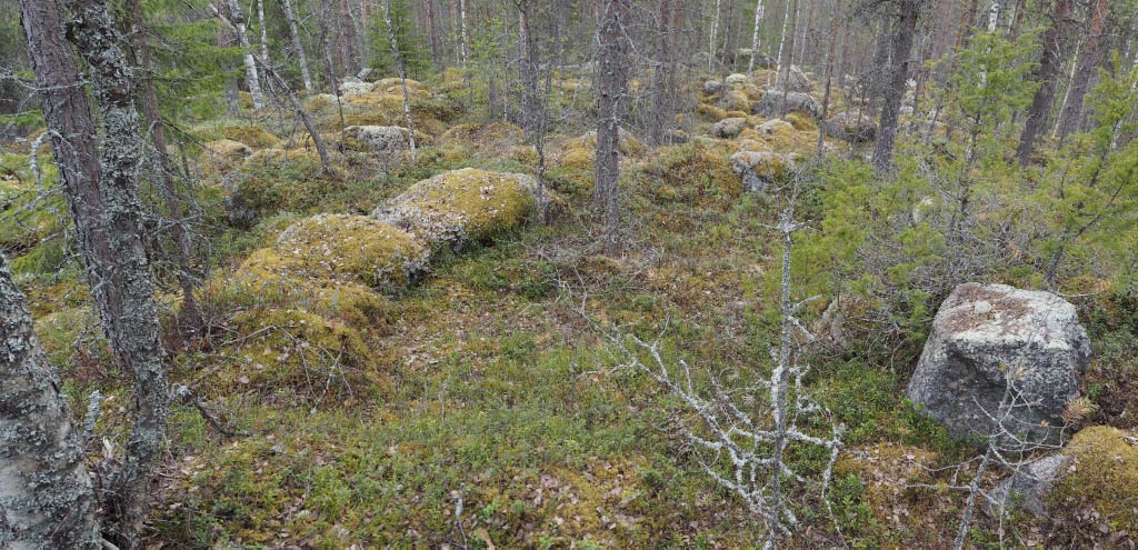 Kuva: Siikalatva, Kurkiniemensaari. Pienen suosaarekkeen kivikkoon raivattu asumuspainanne saaren eteläosasta. Kuvattuna kohti lounaista. Teemu Mökkönen 29.5.2020