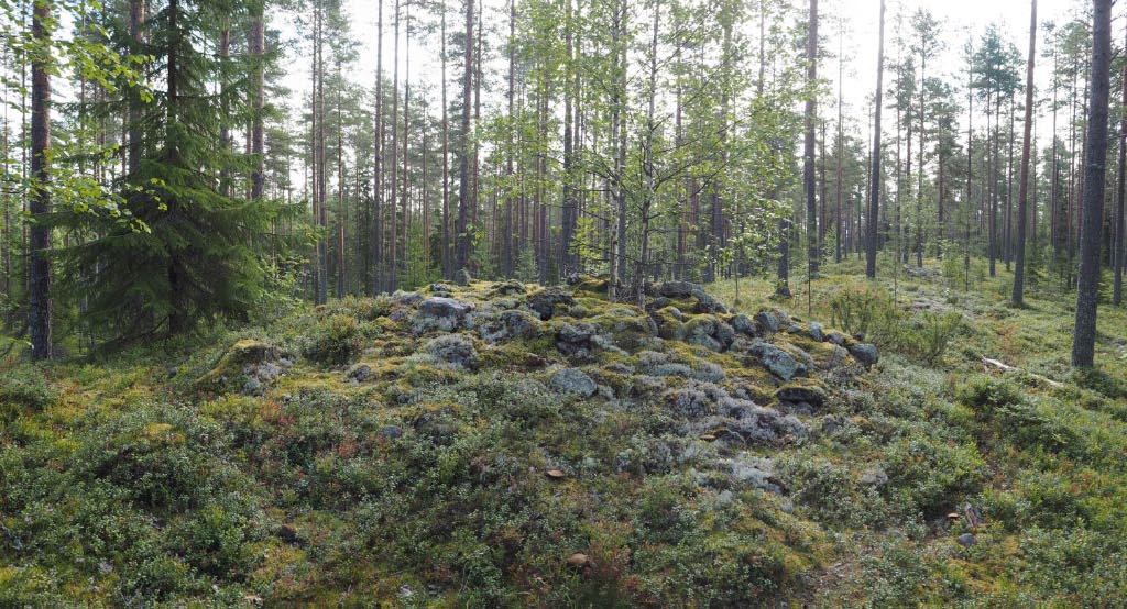 Kuva: Oulu Kudelmakangas. Röykkiö 1 kuvattuna itää. Teemu Mökkönen 19.8.2020