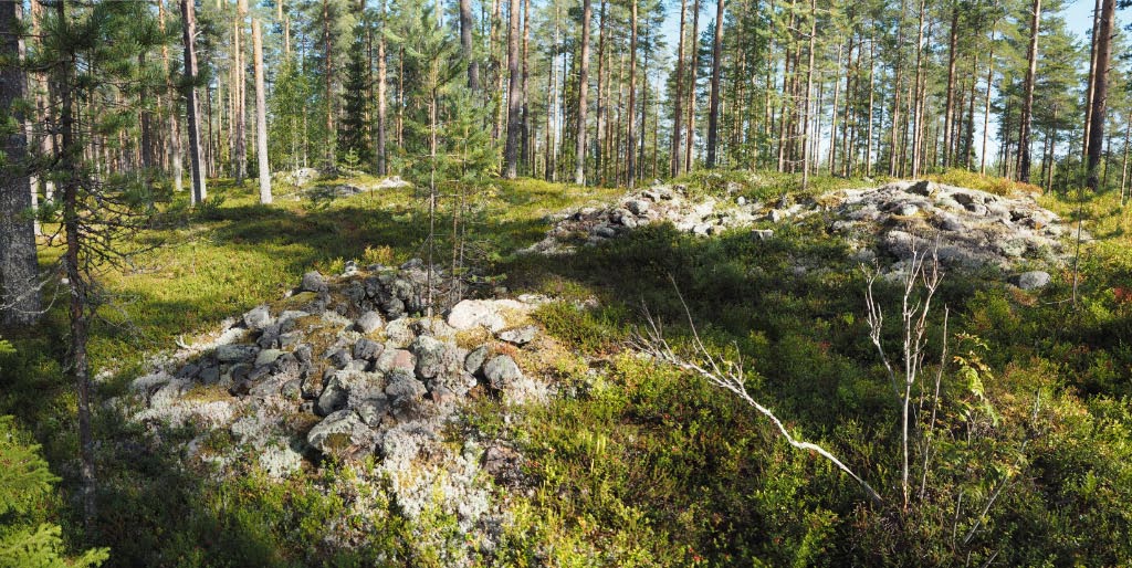 Oulu Kudelmakangas. Röykkiöt 4a ja 3 kuvattuna pohjoiseen. Taustalla erottuvat röykkiöt 2 ja 1. Teemu Mökkönen 19.8.2020