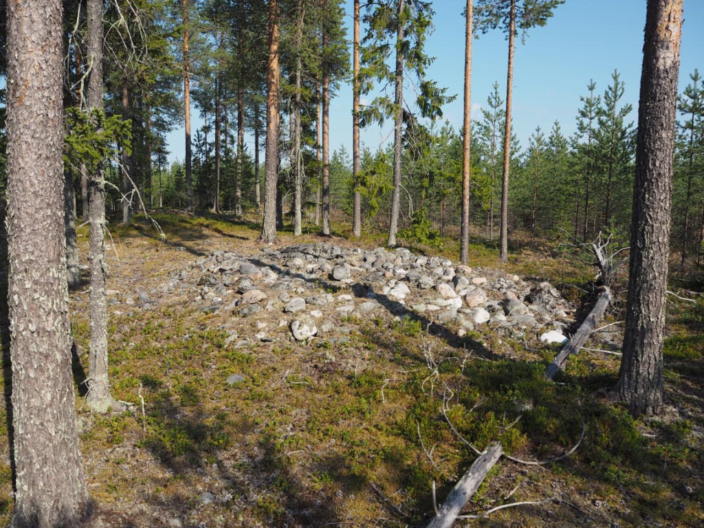 Kuva: Oulu Navettakangas. Röykkiökalmiston eteläisin röykkiö (röykkiö 1) kuvattuna kohti luodetta. Teemu Mökkönen 19.8.2020