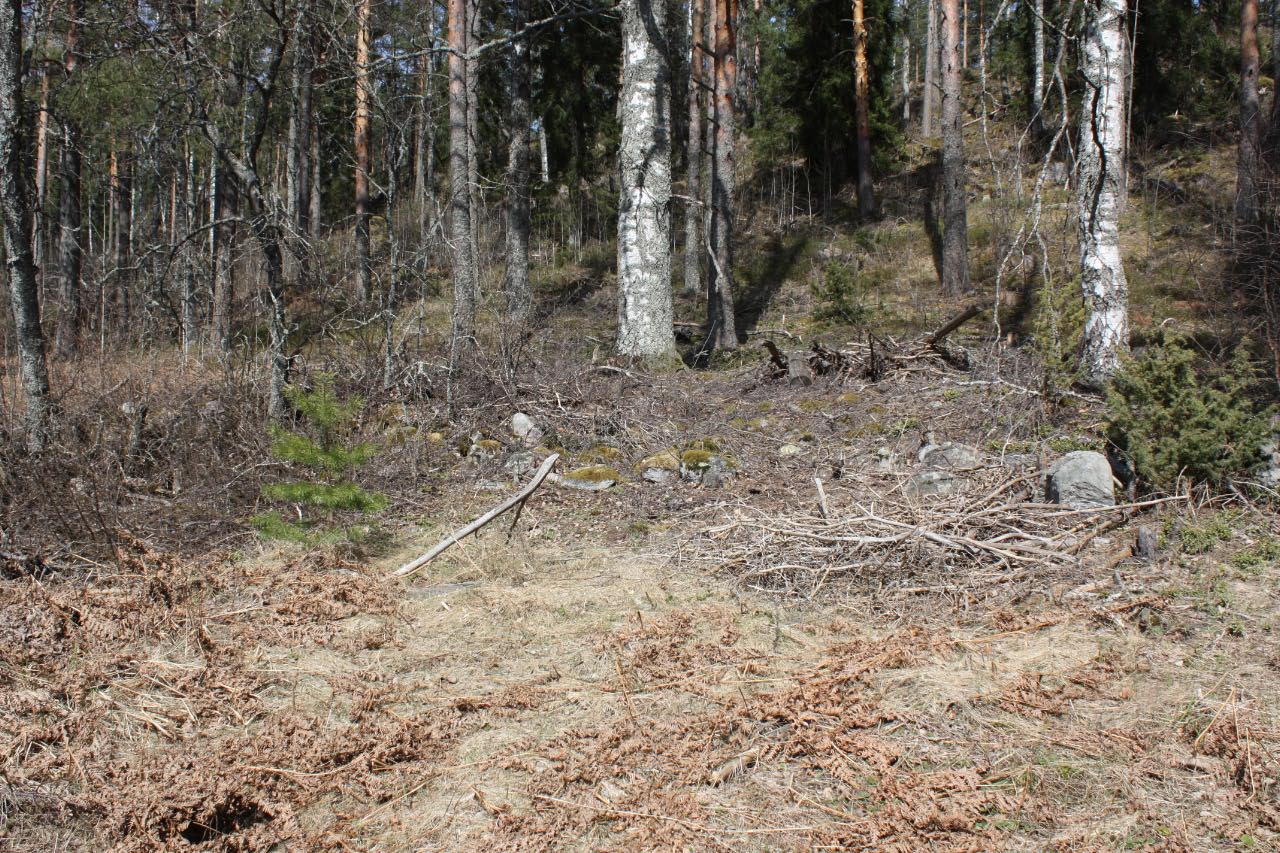 Mahdollinen vanha kivijalka Sälinkääntien pohjoispuolella. Kaakosta. Petro Pesonen 2013