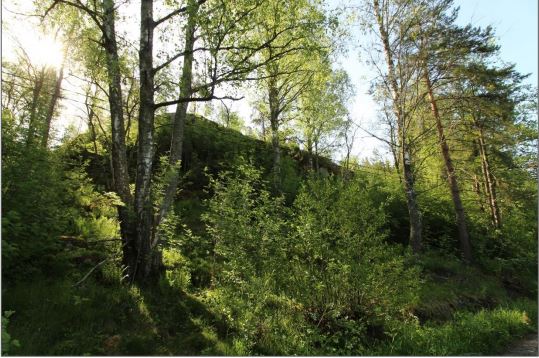 Kuva: Raasepori Bockklint. Linnavuori kaivualueen kaakkoispuolella. Kuvattu luoteesta. Tuija Väisänen