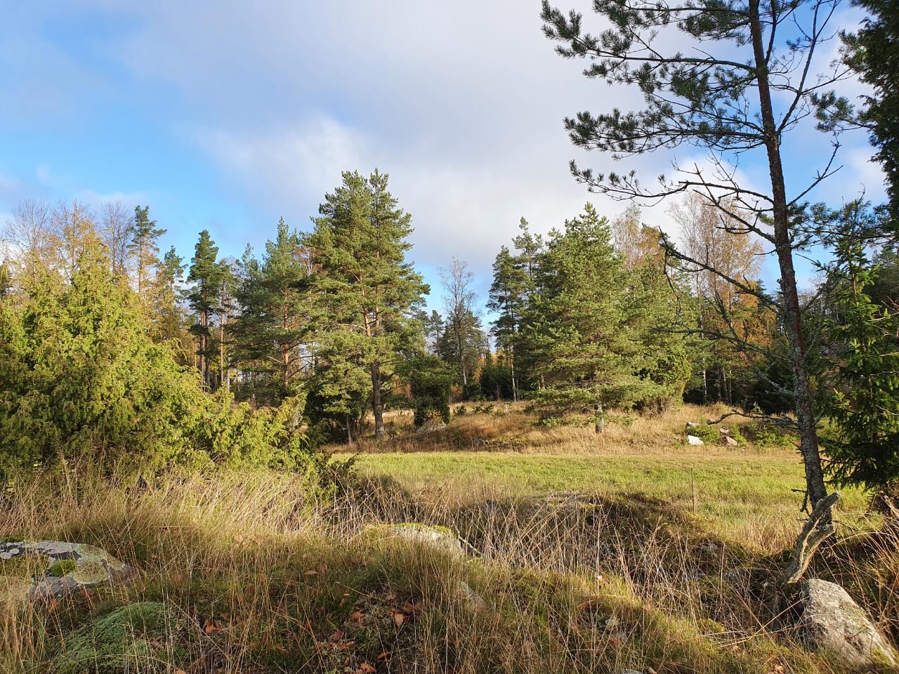 Kuva: Näkymä Inkoon Norrbyn kylätonttialueelle. Kuvattu pohjoisesta. Sari Mäntylä-Asplund 14.10.2020