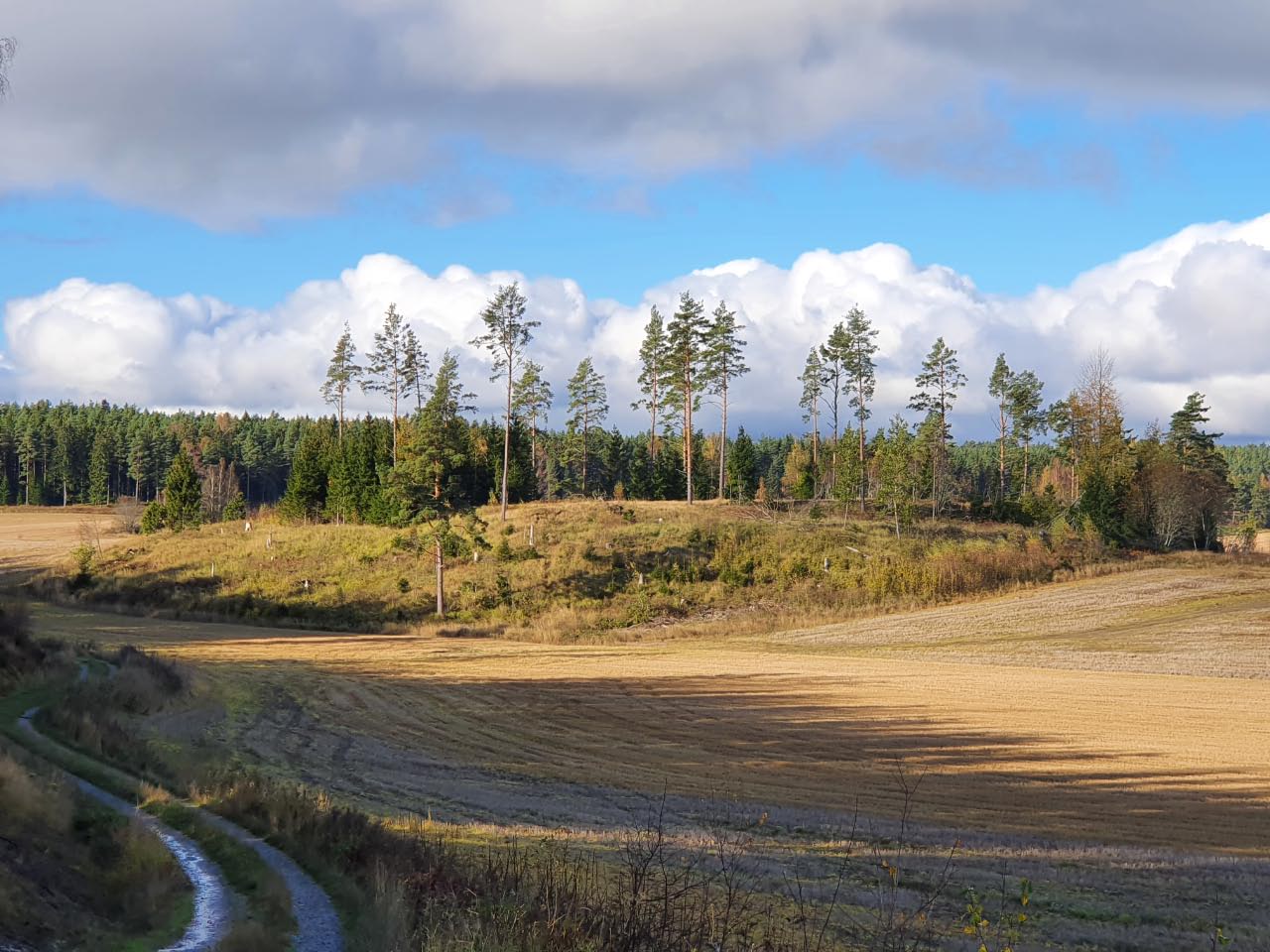 Kuva: Yleiskuva Kullåkerbackenille. Kuvattu peltotieltä käsin kaakosta. Sari Mäntylä-Asplund 14.10.2020