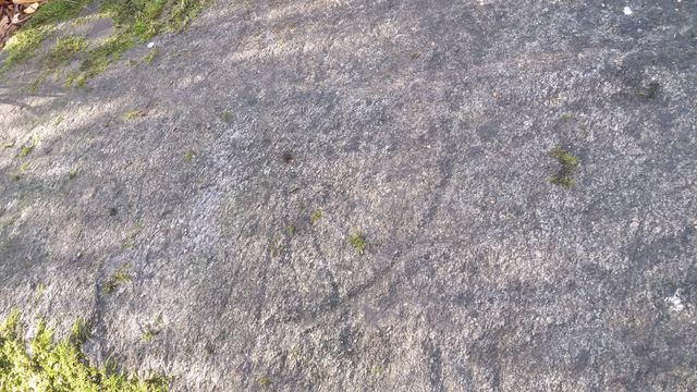 Kuva: Tyltyn piirroskallio Reposaaressa. Kalliohakkauksia, kuvassa aurinkokello. Satakunnan Museo. CC BY 4.0 Leena Koivisto 16.10.2015