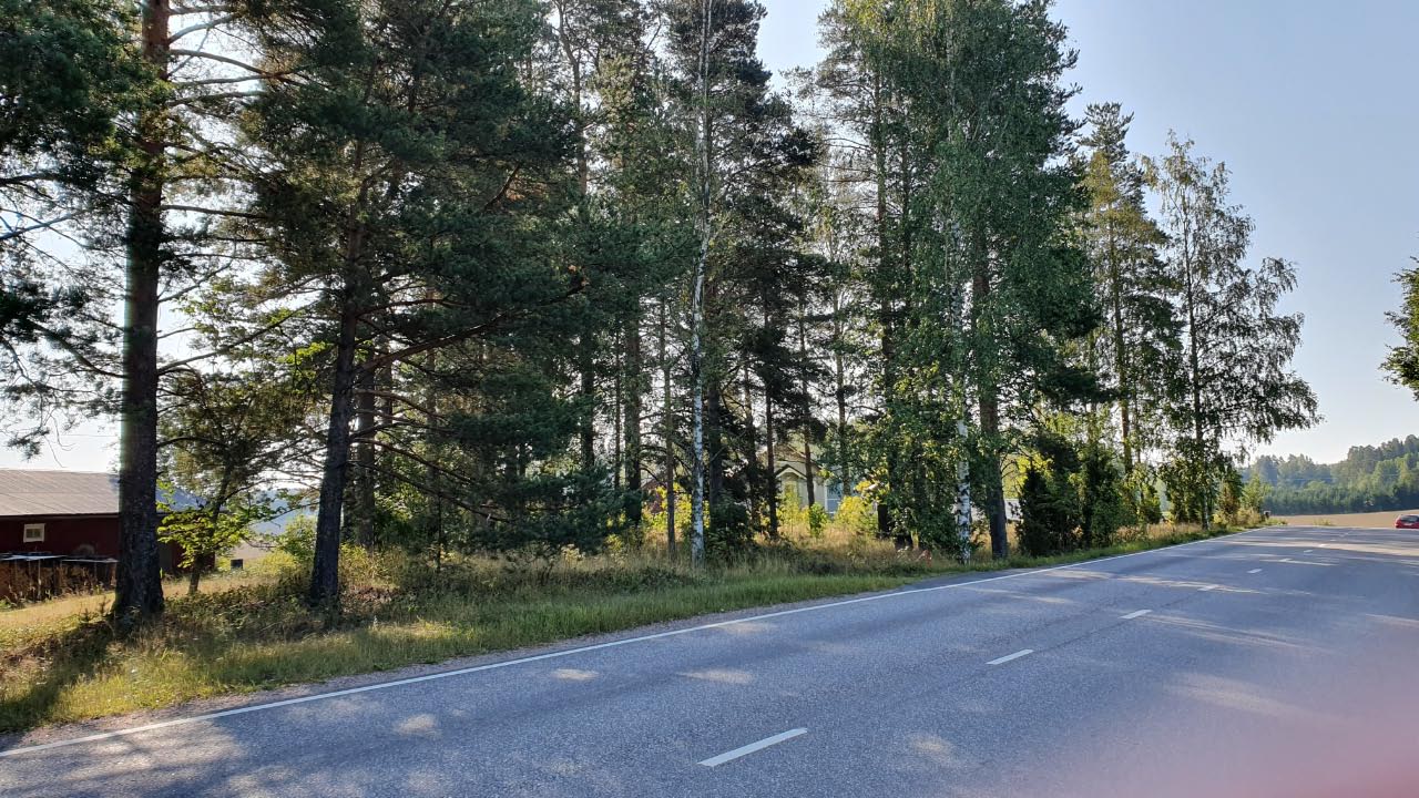 Kuva: Alue sen ohittavalta Keskustieltä käsin. Muinaisjäännösalue on aivan tien vieressä. Sari Mäntylä-Asplund 28.08.2019
