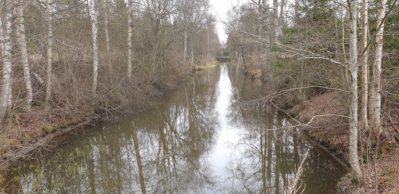 Kuva: Kravin kanava Kokemäen Kankaantaustan kylän sillan kohdalta. Näkymää itään. Teija Tiitinen 27.4.2021