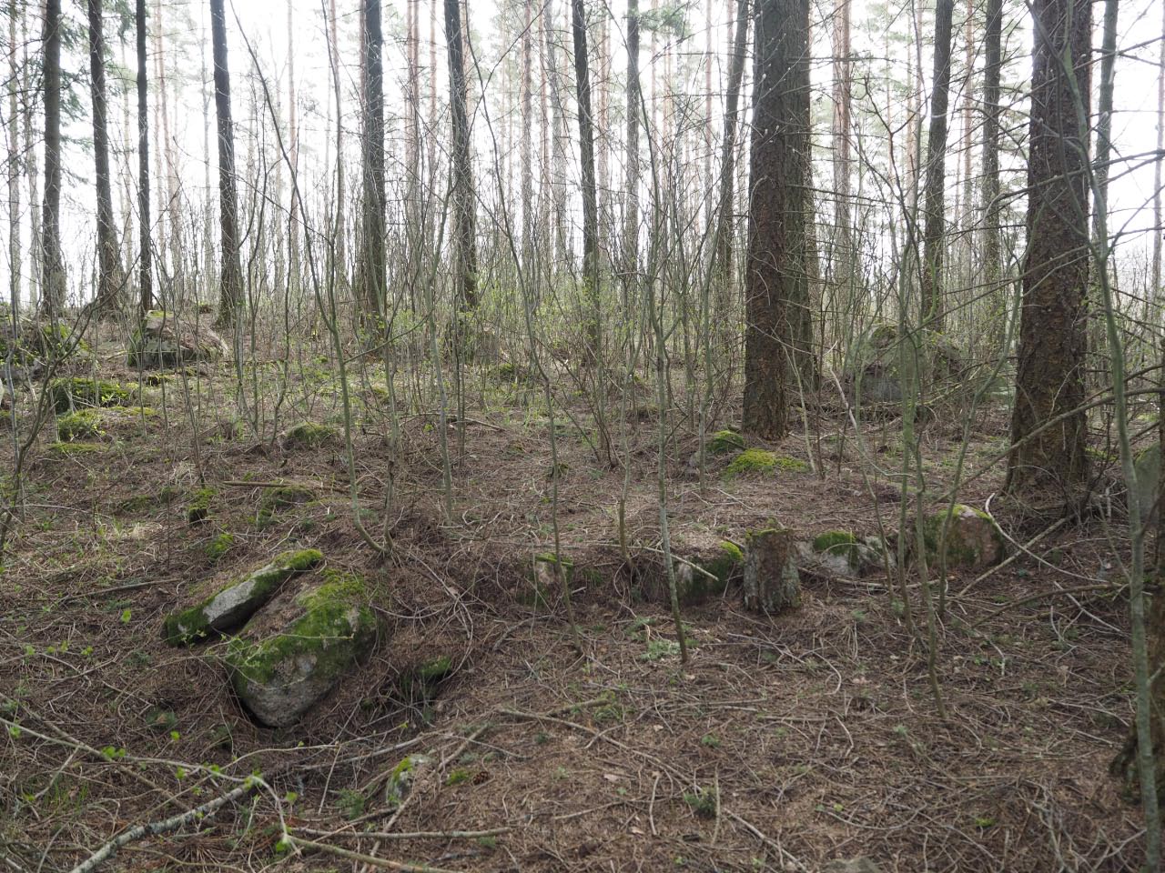 Kuva: Idlax Kvarnåkern 1. Pienempi kivijalka (3,5 x 5 m, perustus 2) kuvattuna kohti kaakkoa. Teemu Mökkönen 3.5.2021