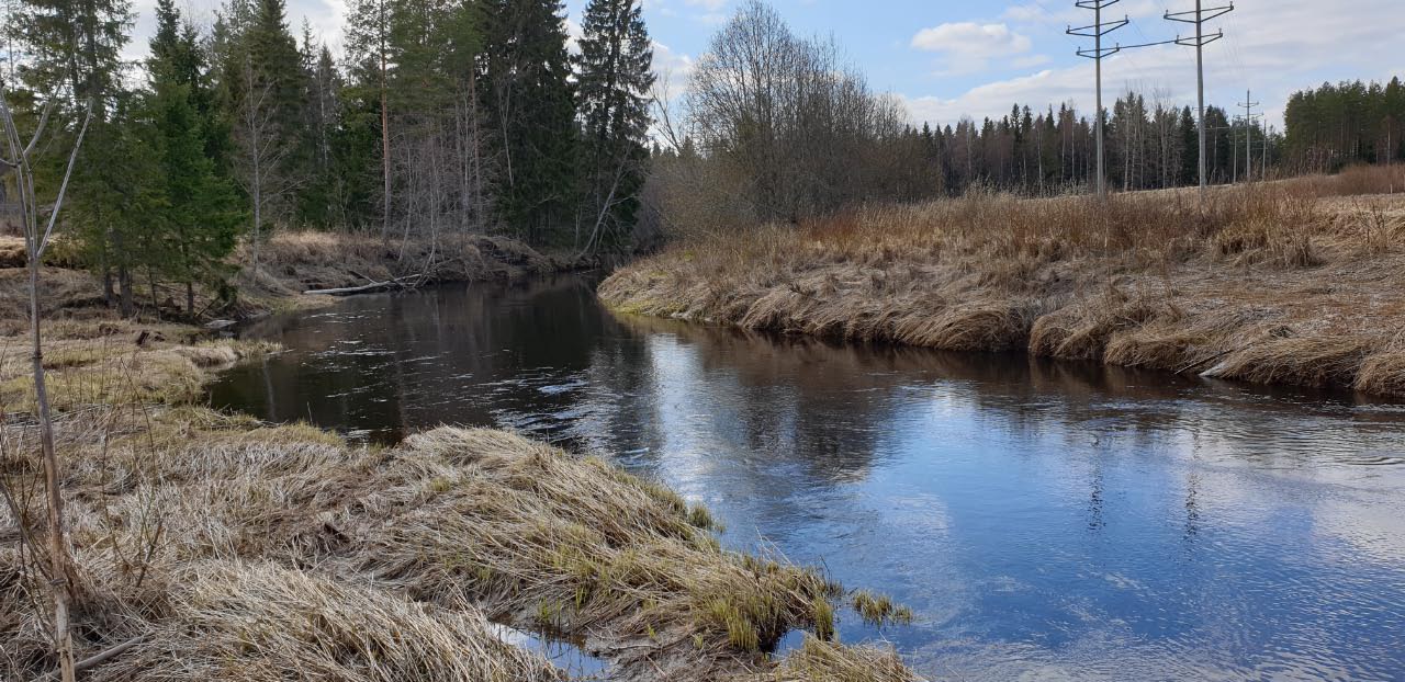 Kuva: Karvian jokea Skanssilta länteen. Teija Tiitinen 5.5.2021